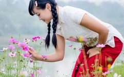 仙踪林入口欢迎你老狼